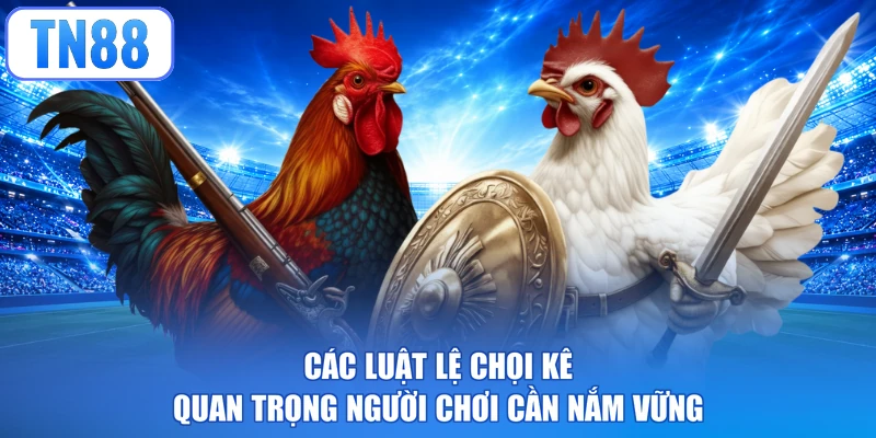 Các luật lệ chọi kê quan trọng người chơi cần nắm vững