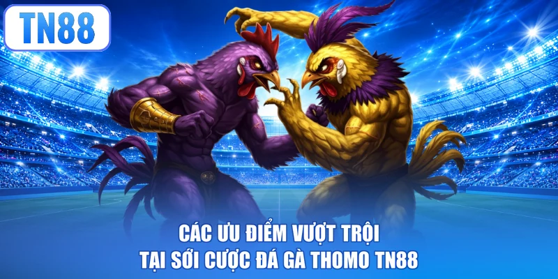 Các ưu điểm vượt trội tại sới cược Đá gà Thomo TN88