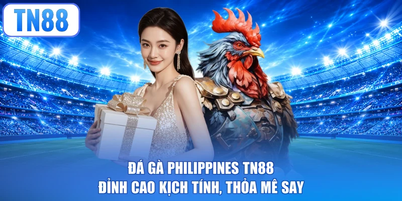 Đá Gà Philippines TN88 - Đỉnh Cao Kịch Tính, Thỏa Mê Say