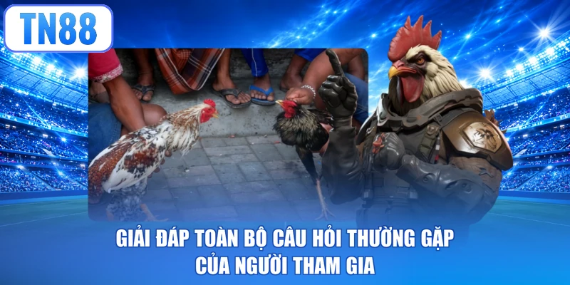 Giải đáp toàn bộ câu hỏi thường gặp của người tham gia