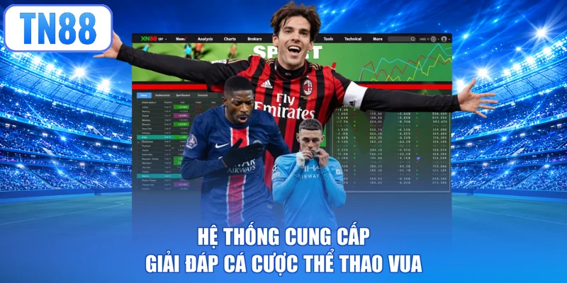 Hệ thống cung cấp giải đáp cá cược thể thao vua