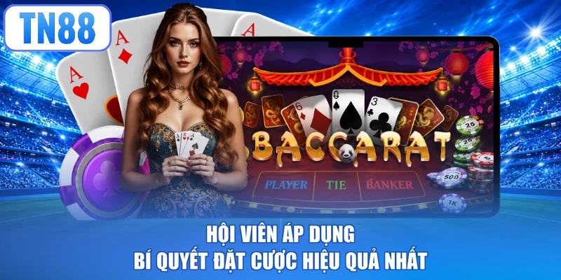Hội viên áp dụng bí quyết đặt cược hiệu quả nhất